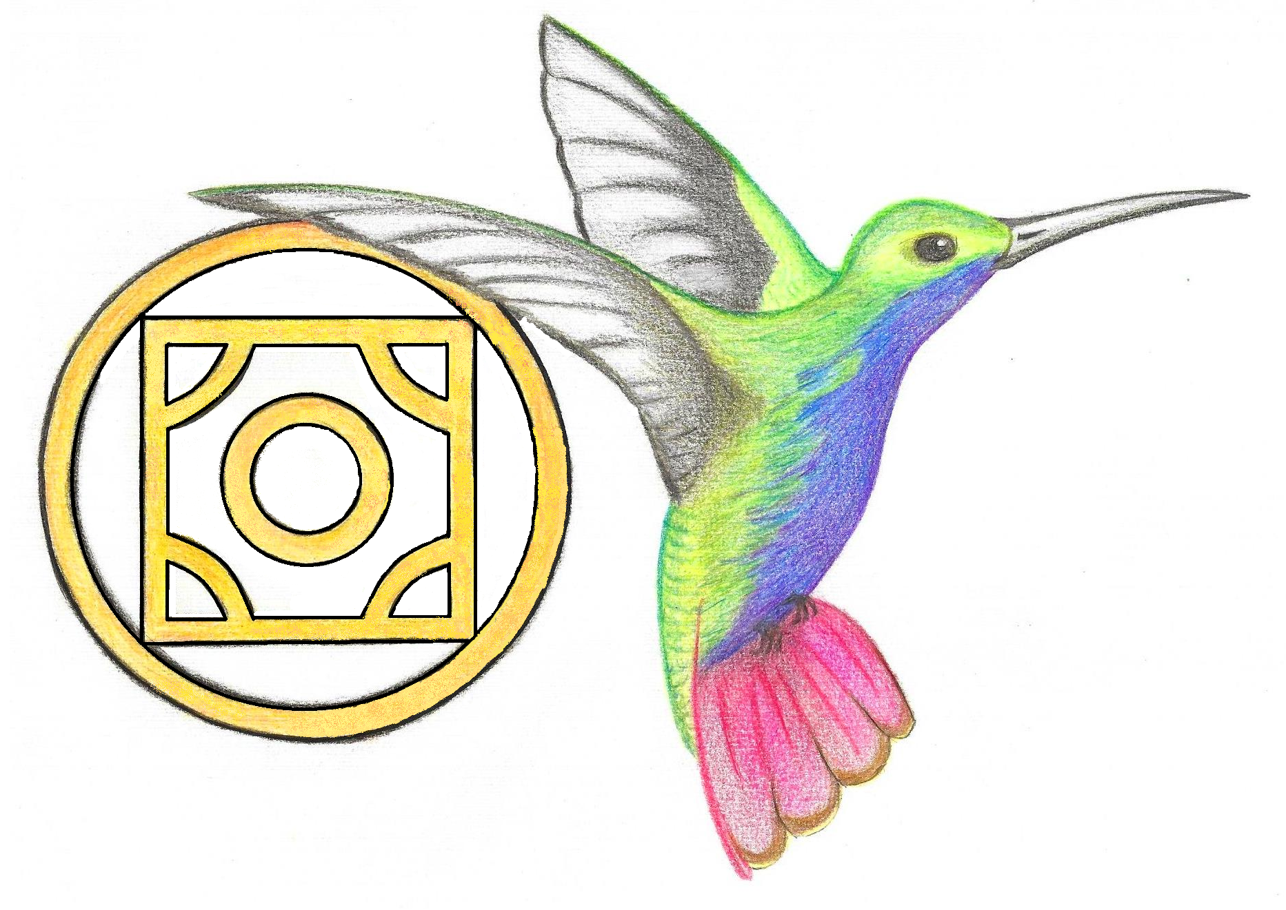 Adelante colibri
